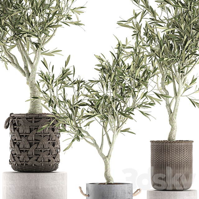 3dsky Free Download