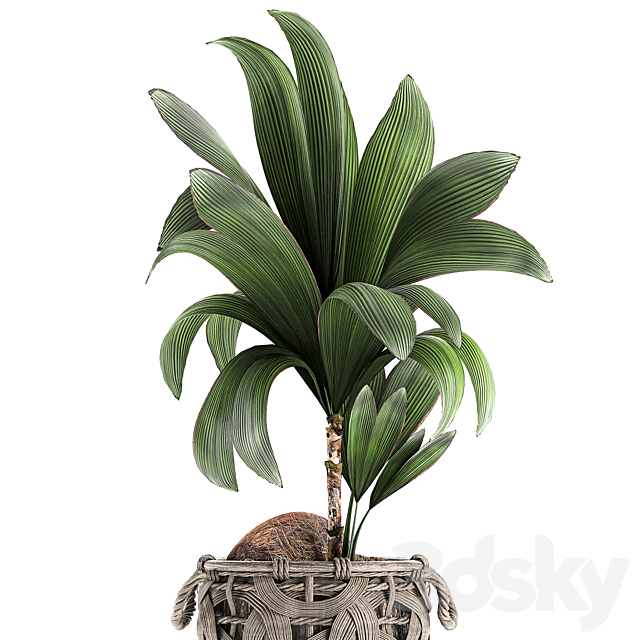 3d model