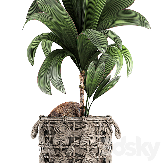 3dsky Free Download