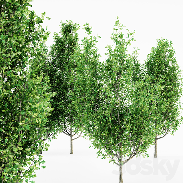 3d model