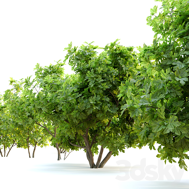 3dsky Free Download