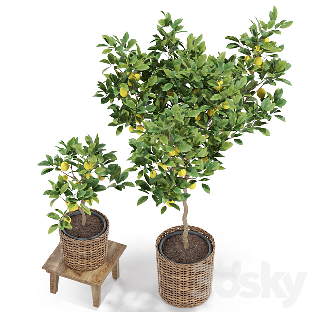 3d model
