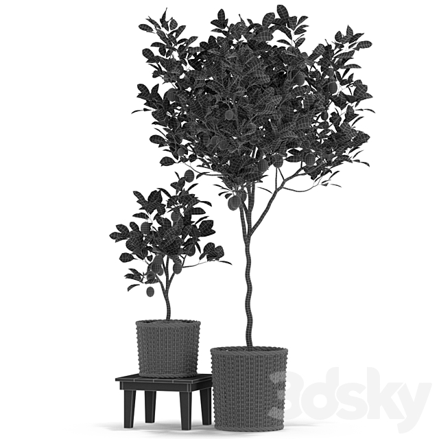 3dsky Free Download