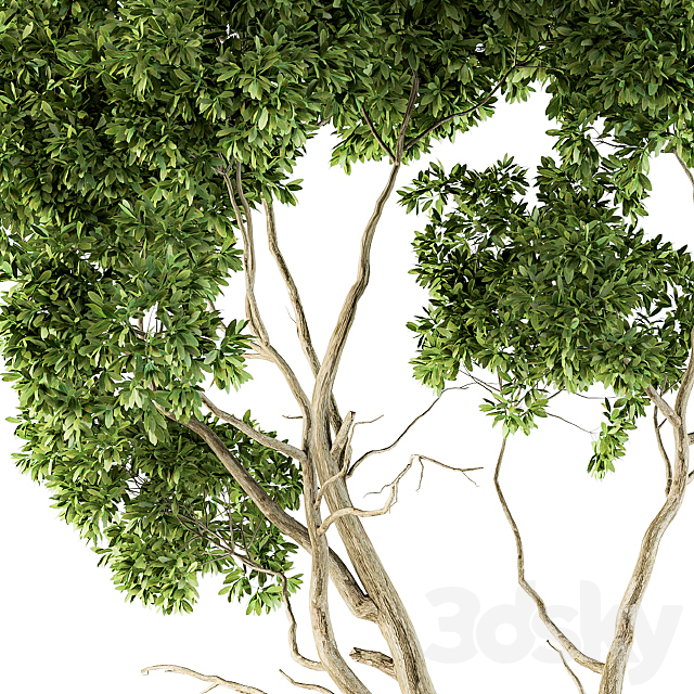 3dsky Free Download