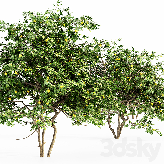 3dsky Free Download