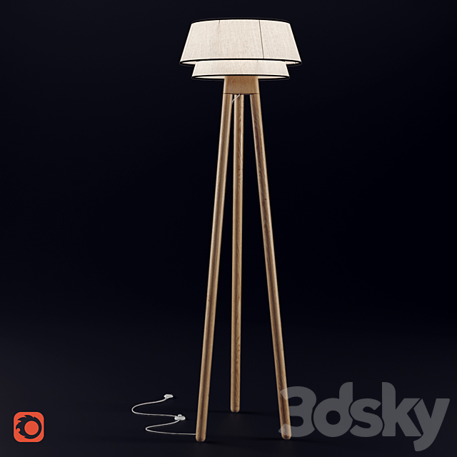 3d model