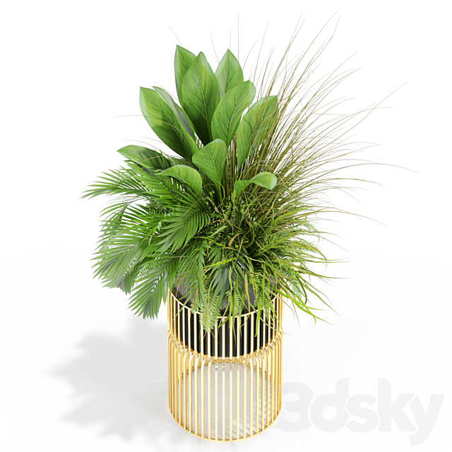 3d model