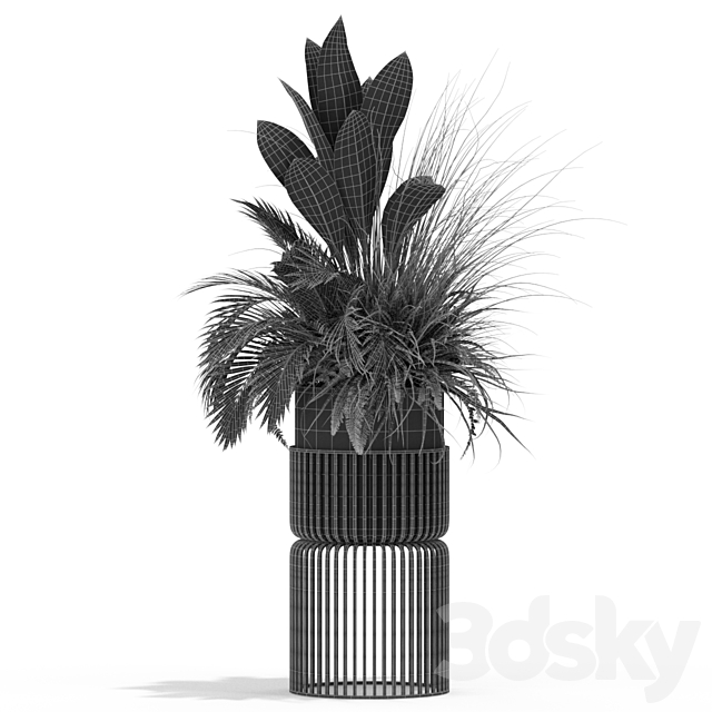 3dsky Free Download