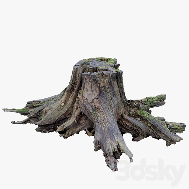 3d model