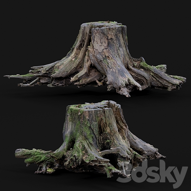 3dsky Free Download