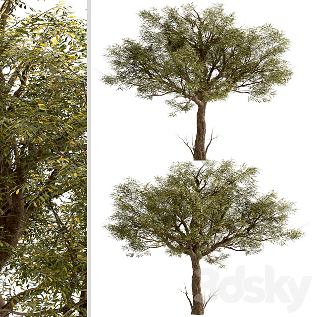 3d model