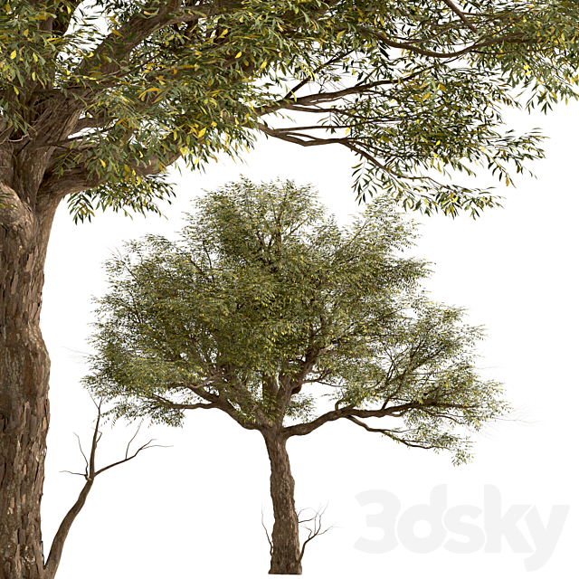3dsky Free Download