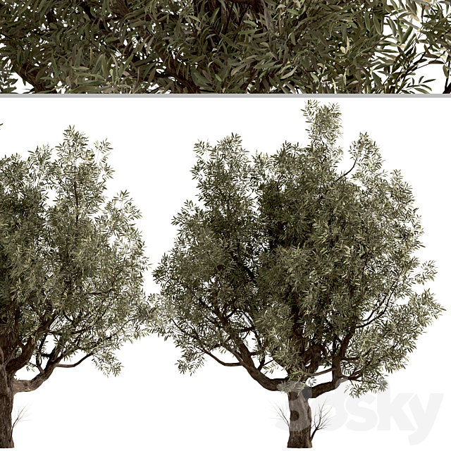 3d model