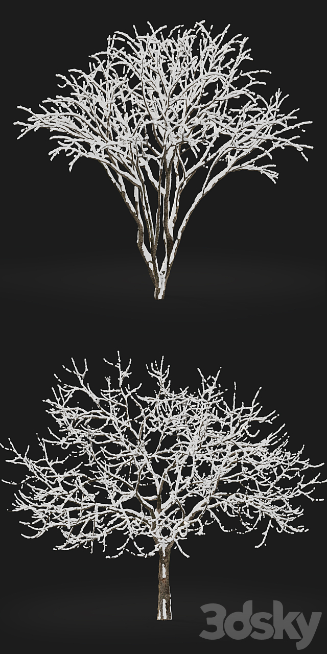 3d model