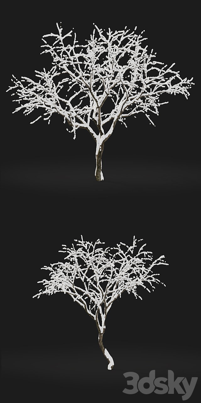 3dsky Free Download