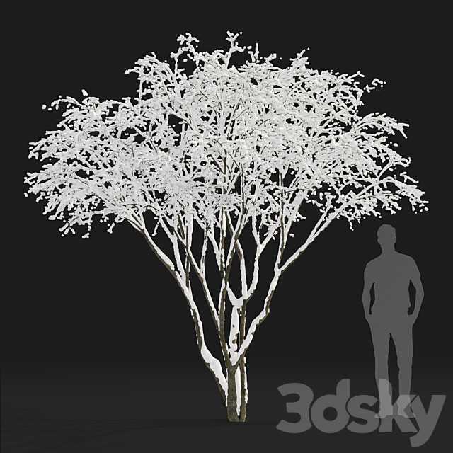3d model