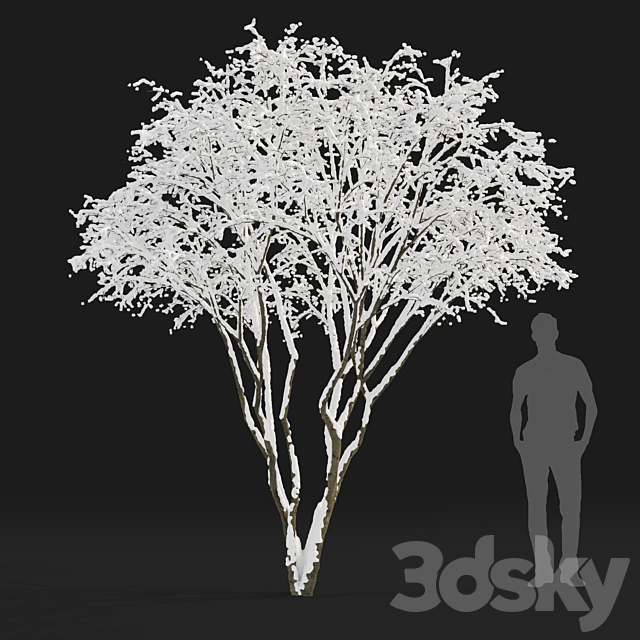 3dsky Free Download