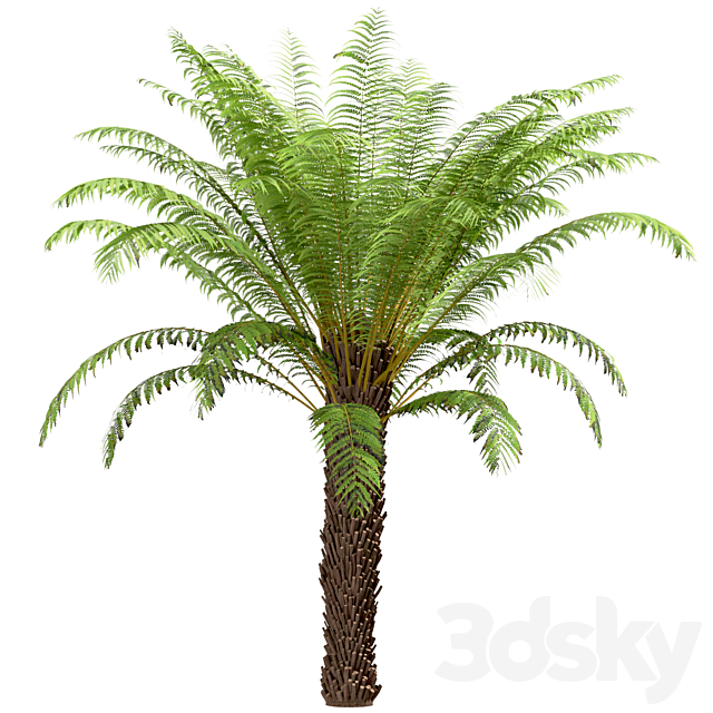 3d model