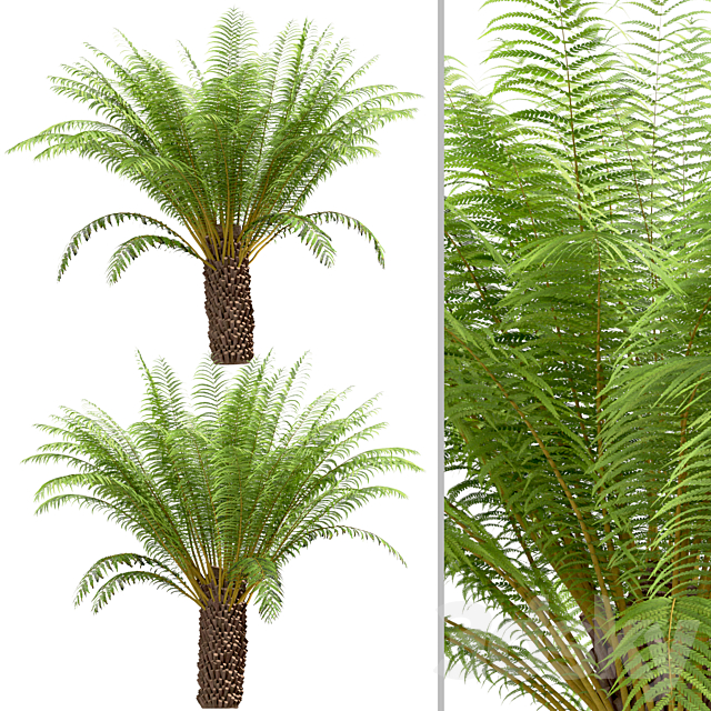 3dsky Free Download