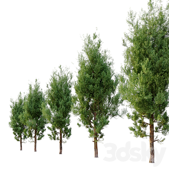 3dsky Free Download
