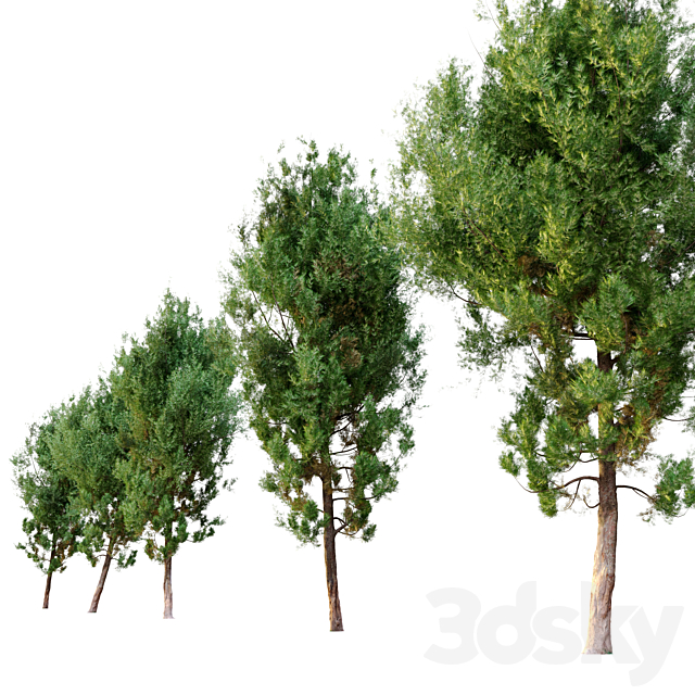 3d model