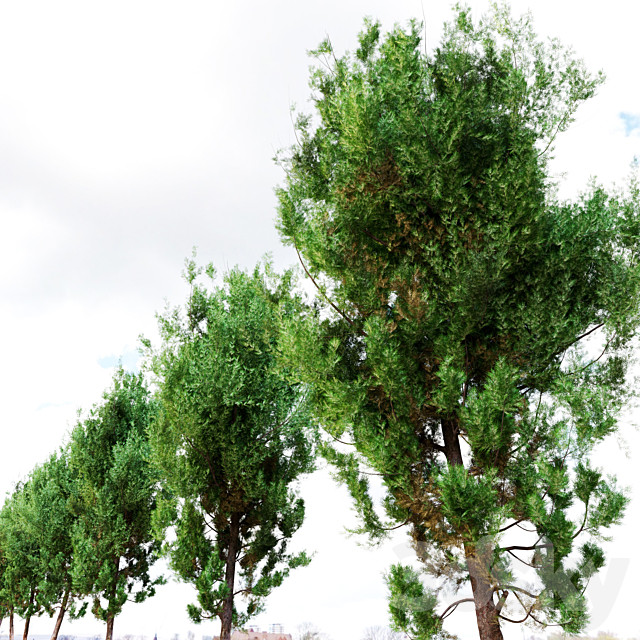 3dsky Free Download