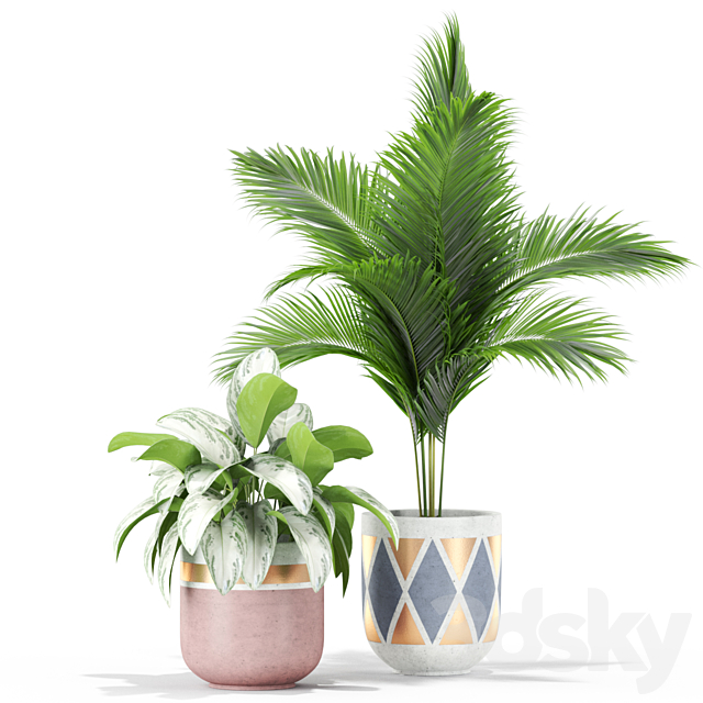 3dsky Free Download