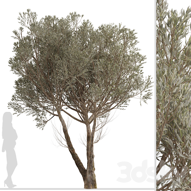3d model