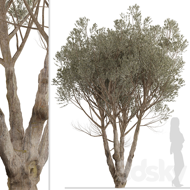 3dsky Free Download