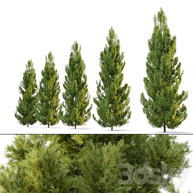 3dsky Free Download
