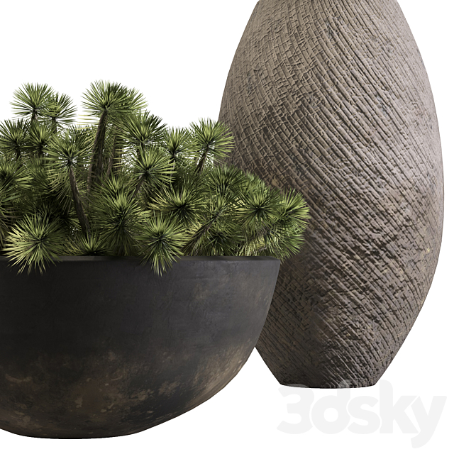3d model