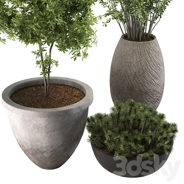 3dsky Free Download