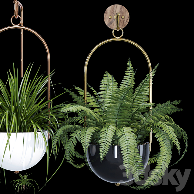 3dsky Free Download