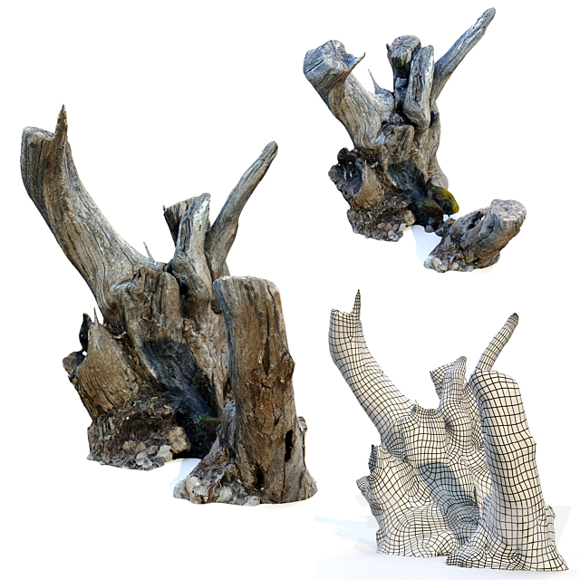 3dsky Free Download