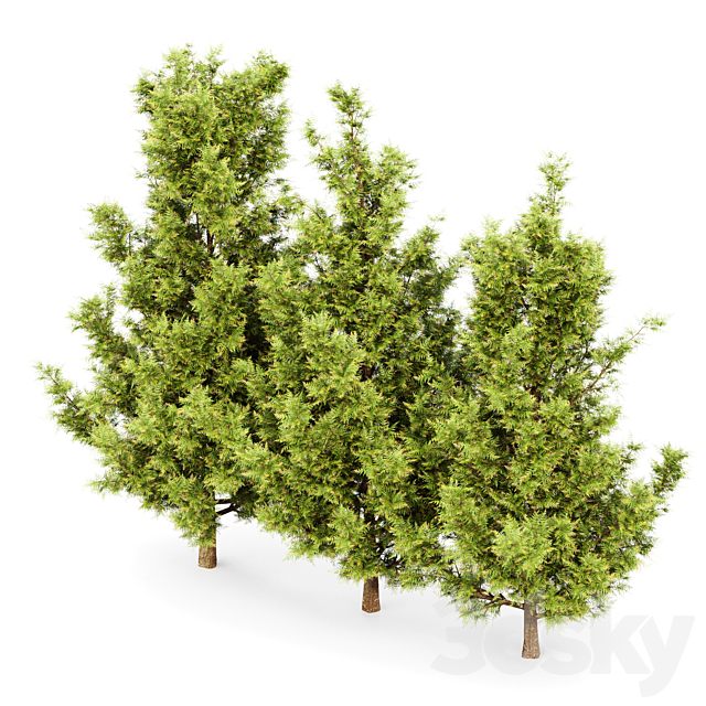 3dsky Free Download