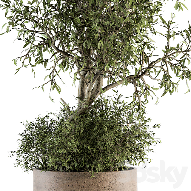 3d model