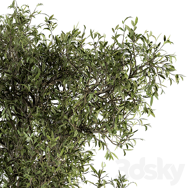 3dsky Free Download