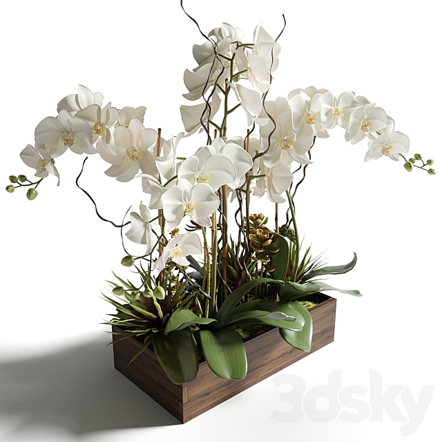 3d model