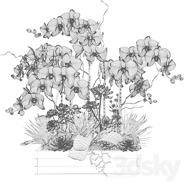 3dsky Free Download