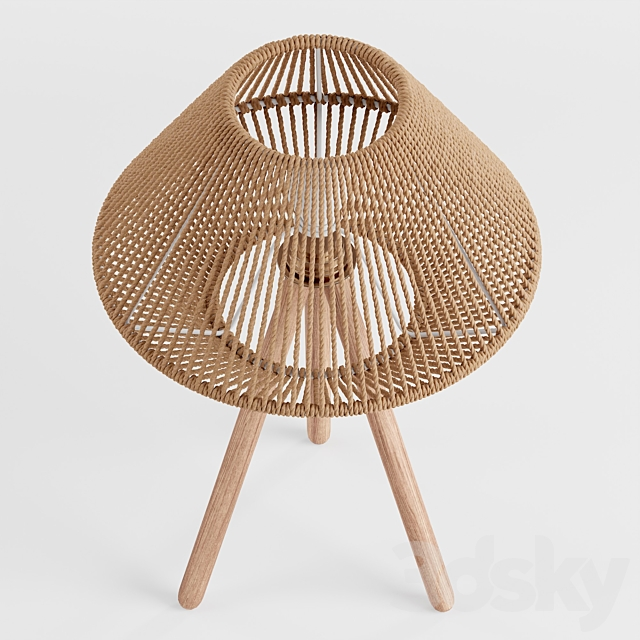 3d model