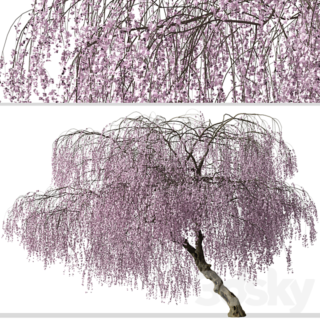 3d model