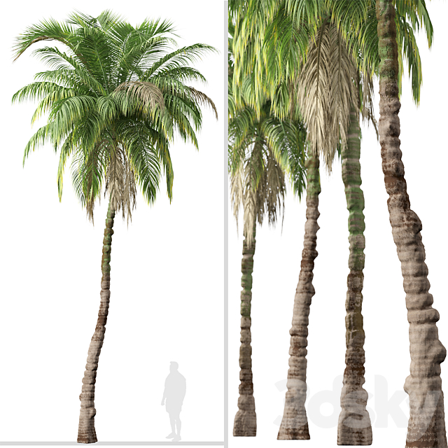 3d model