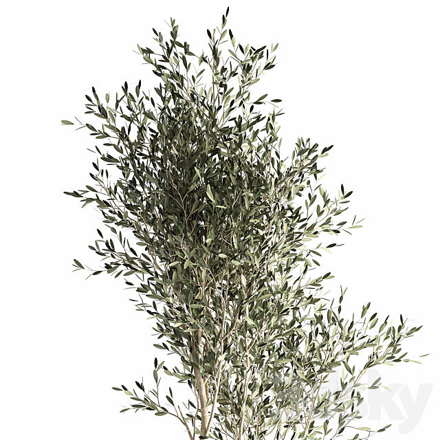 3d model