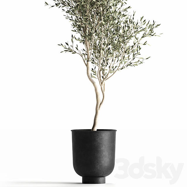 3dsky Free Download