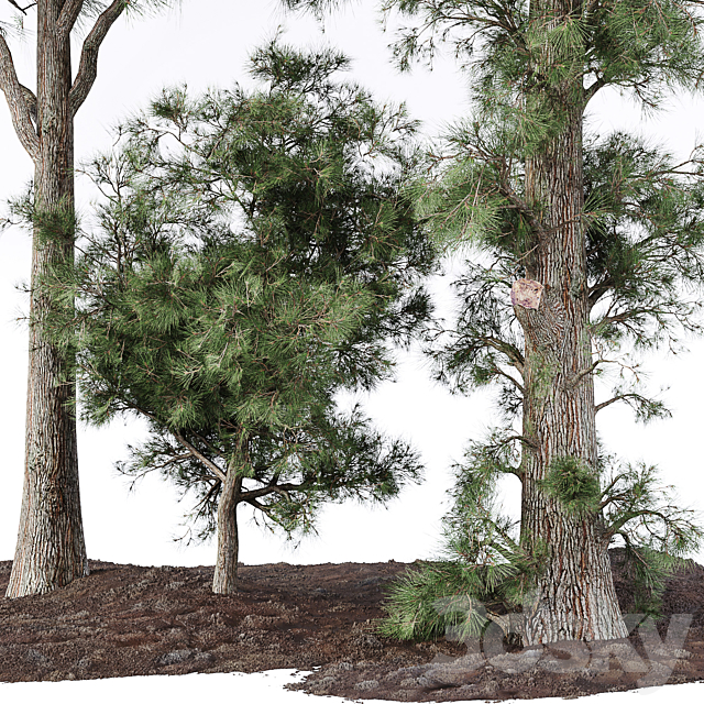 3d model