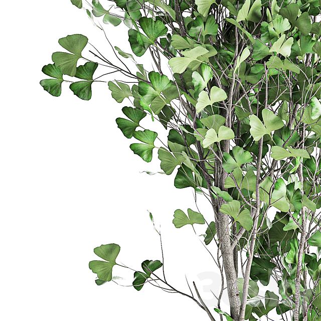3d model