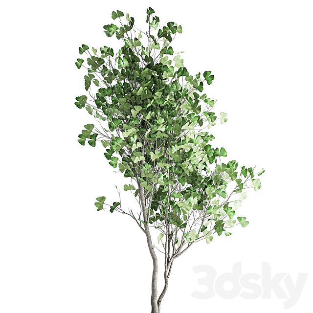 3dsky Free Download