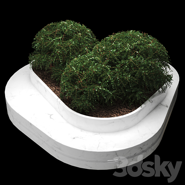 3d model