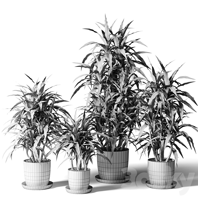 3d model