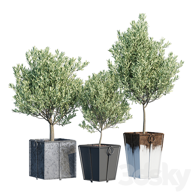 3d model